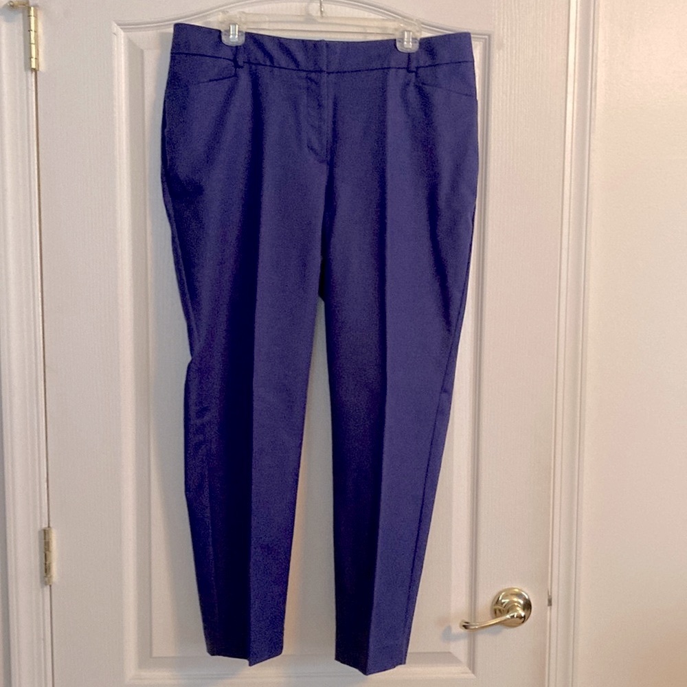 NWOT Dana Buchman Pants